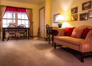 Teppich reinigen mit Dampfreiniger | Dampf für Teppichboden?