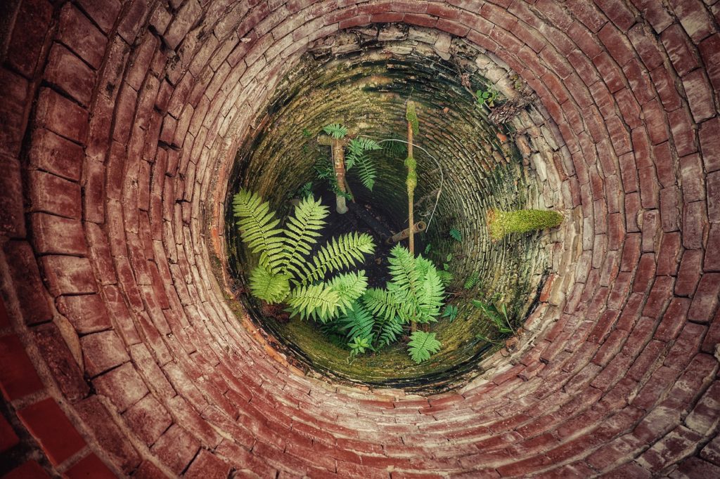 Brunnen Tiefe Wasser Zweige