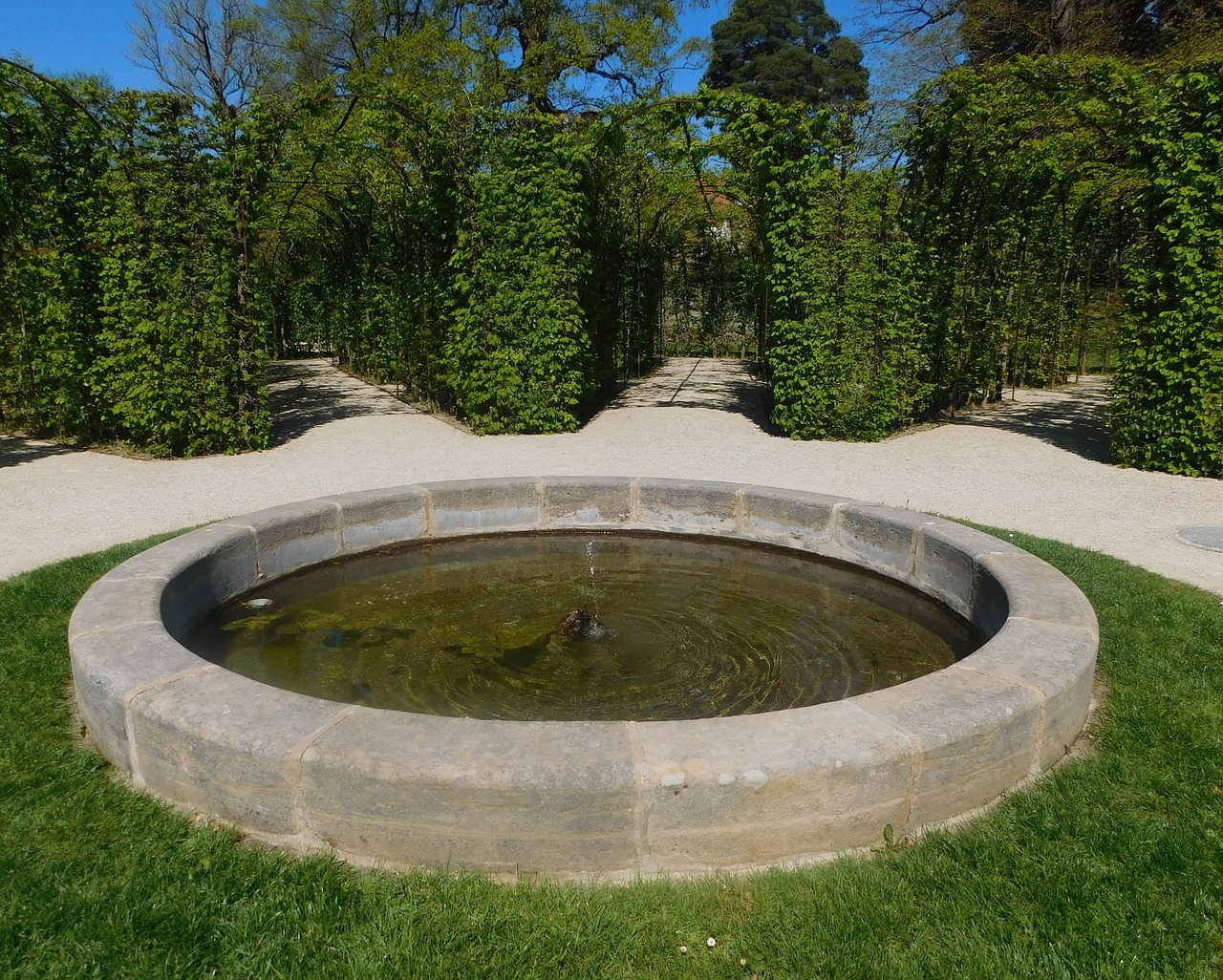 Brunnen Wasser Stadtgarten Hecke