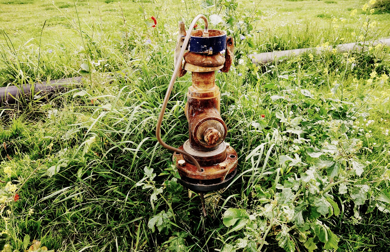 Wasserpumpe Garten Rasen