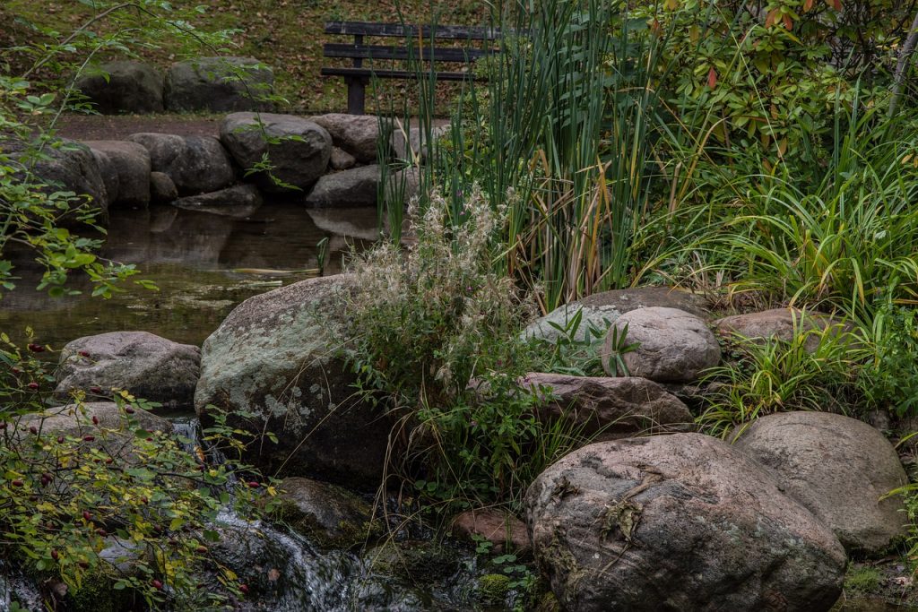 Garten Teich Bepflanzung Bachlauf