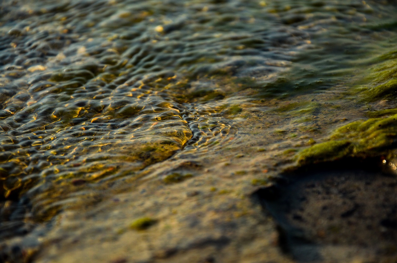 Klares Wasser Teich Reinigung
