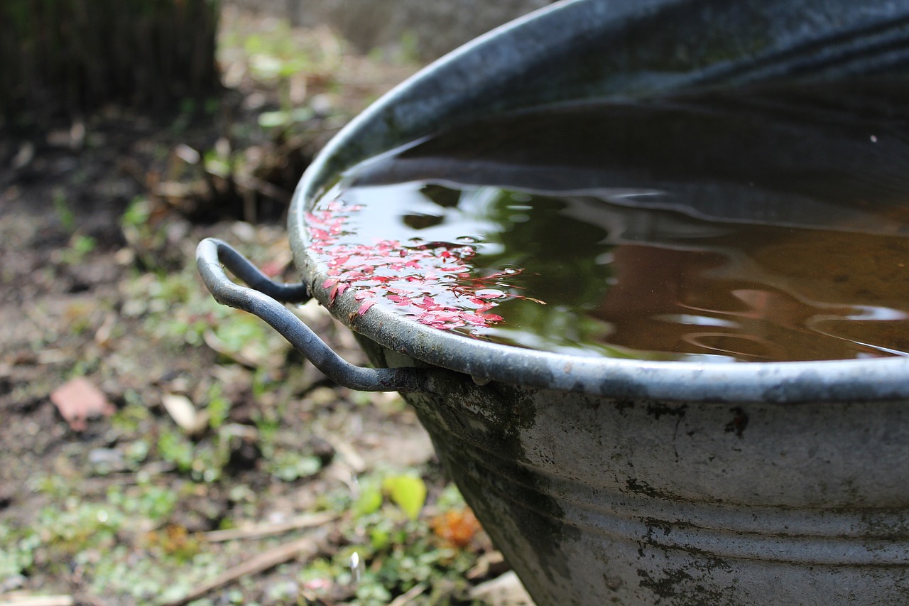 Regen Regenwasser Regentonne Wasser Garten