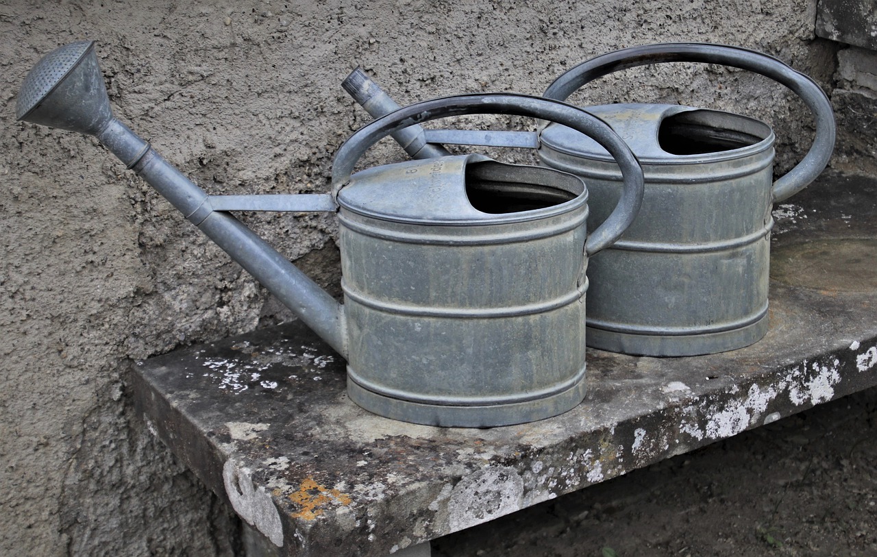 Garten Gießen Gießkanne Regenwasser Wasser