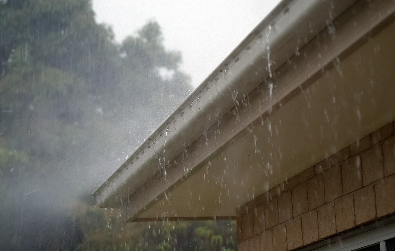 Niederschlag Regen Regentropfen Regenrinne