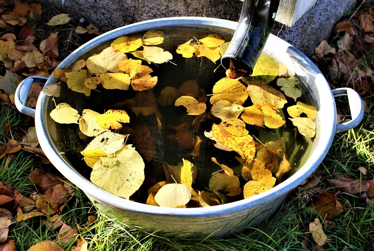 Eimer gefüllt mit Wasser