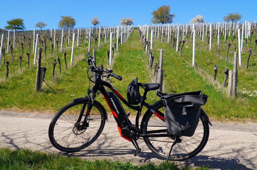 E-Bike vor Weinberg Trekking