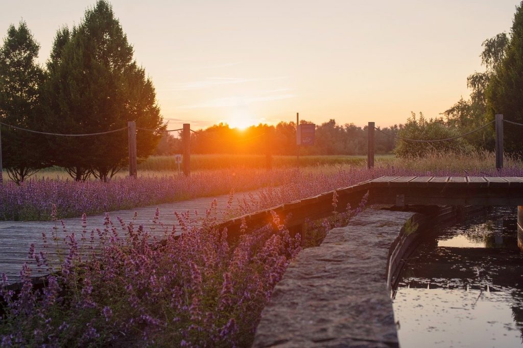 Garten Parkanlage See