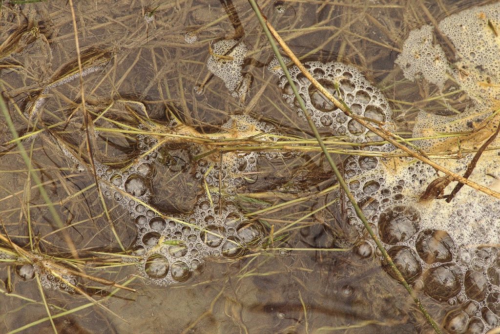 Drainage Wasser Entwässerung