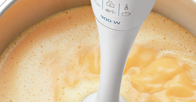 Siemens Pürierstab beim Pürieren