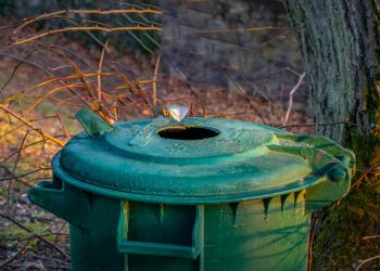 Rasen kalken und düngen gleichzeitig? (Rasenpflege Reihenfolge)