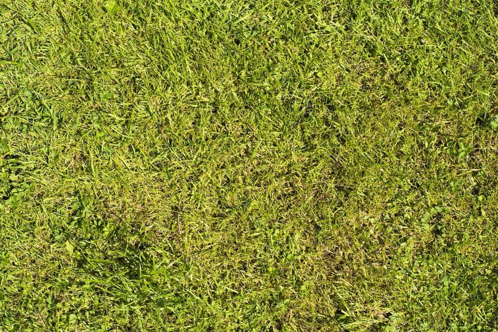 Balkenmäher Gewicht | Balkenschneider leicht