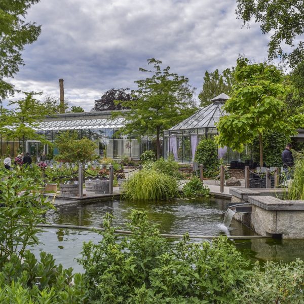 Garten Gewächshaus Treibhaus