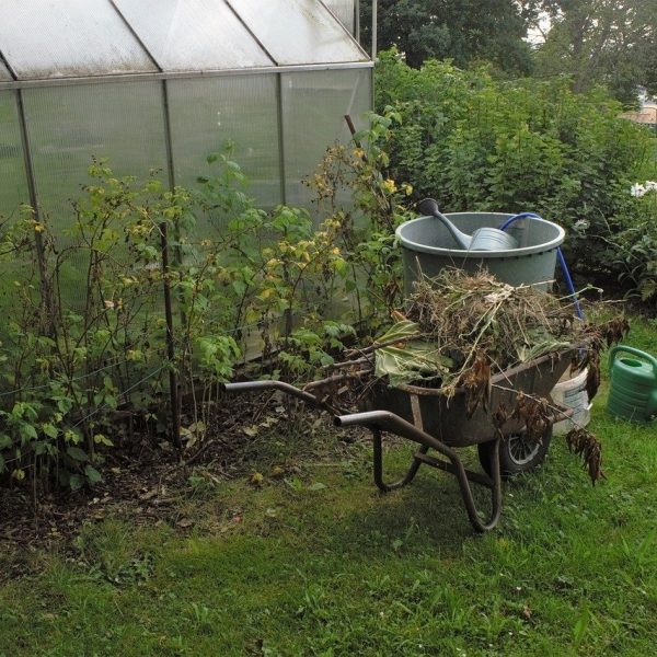 Garten Gewächshaus Glasscheiben
