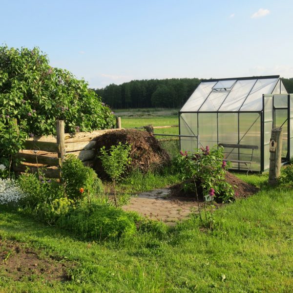 Gewächshaus Garten Landschaft