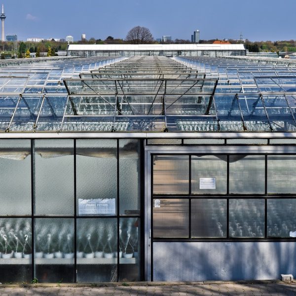 Gewächshaus Treibhaus Ausrichtung