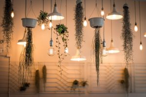 Pflanzen Indoor Beleuchtung