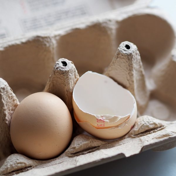 Eierkarton Eier Schale