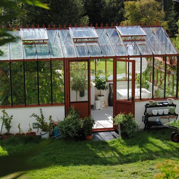 Schönes Gewächshaus Garten